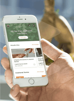 WordPress Development for Software Development Company - Moweex