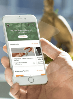 WordPress Development for Software Development Company - Moweex