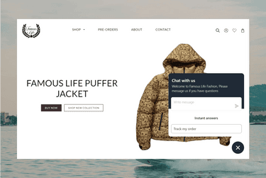 Live Chat Support-Shopify Development-Famous Life
