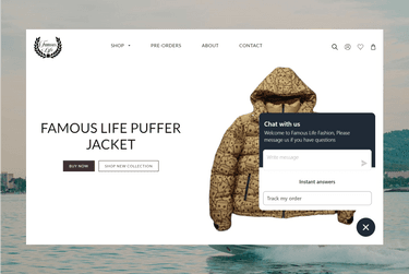 Live Chat Support-Shopify Development-Famous Life