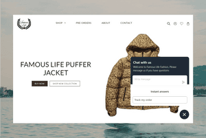 Live Chat Support-Shopify Development-Famous Life