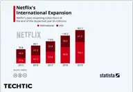 netflixs-paid-streaming-subscriber-chart-in-usa-from-2015-2019