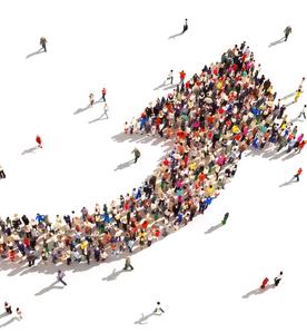 Startup to Scale Up Challenges Find Out How to Avoid Them