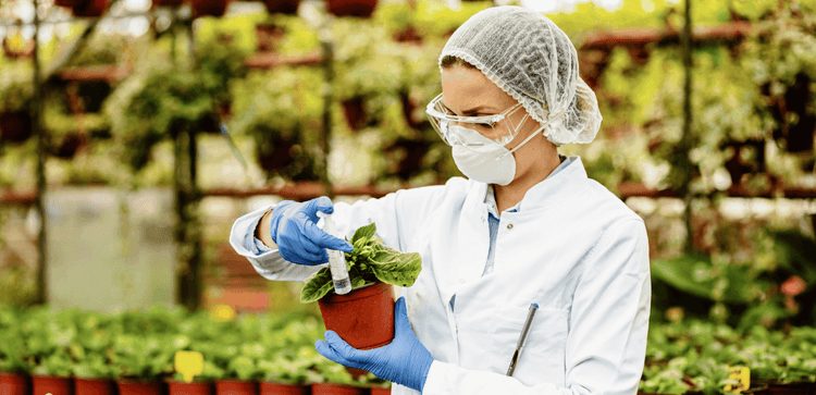 AI Driven Food Analysis App- Scorifi.ai