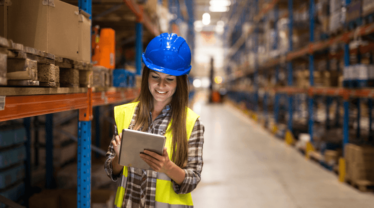 Revolutionizing Travel Logistics with AI