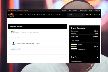 Payment Gateway Integration - Magento Website Development
