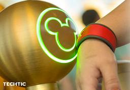 Disney theme parks use wristband