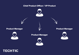Team Structure by product