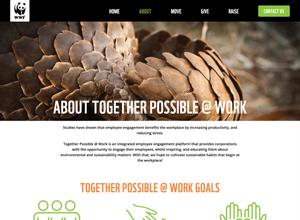 WWF - User Interface